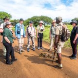 Afbeelding voor Wandelsafari in Afrika