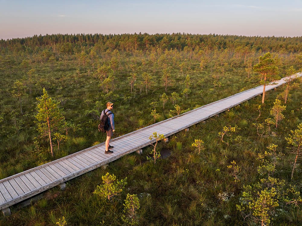 Wandelen over vlonderpaden