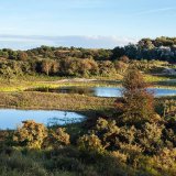 Afbeelding voor Hollandse Duinen
