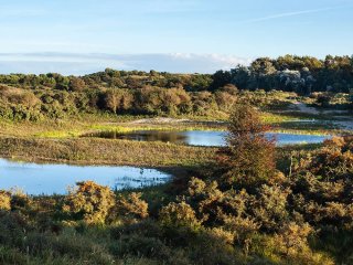 Afbeelding voor Hollandse Duinen