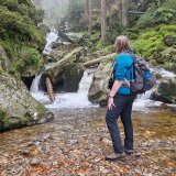 Afbeelding voor Actieve vakantie Beierse Woud