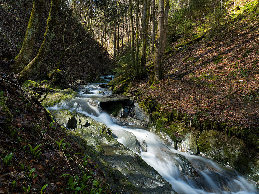 Schlucht Winterberg