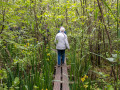 Naardermeer vlonderpad