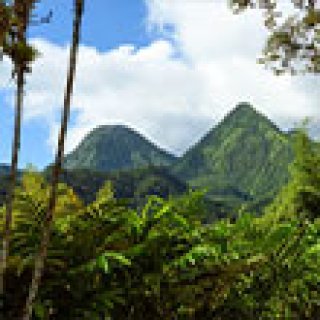 Afbeelding voor Voja Travel - Drie Caribische parels