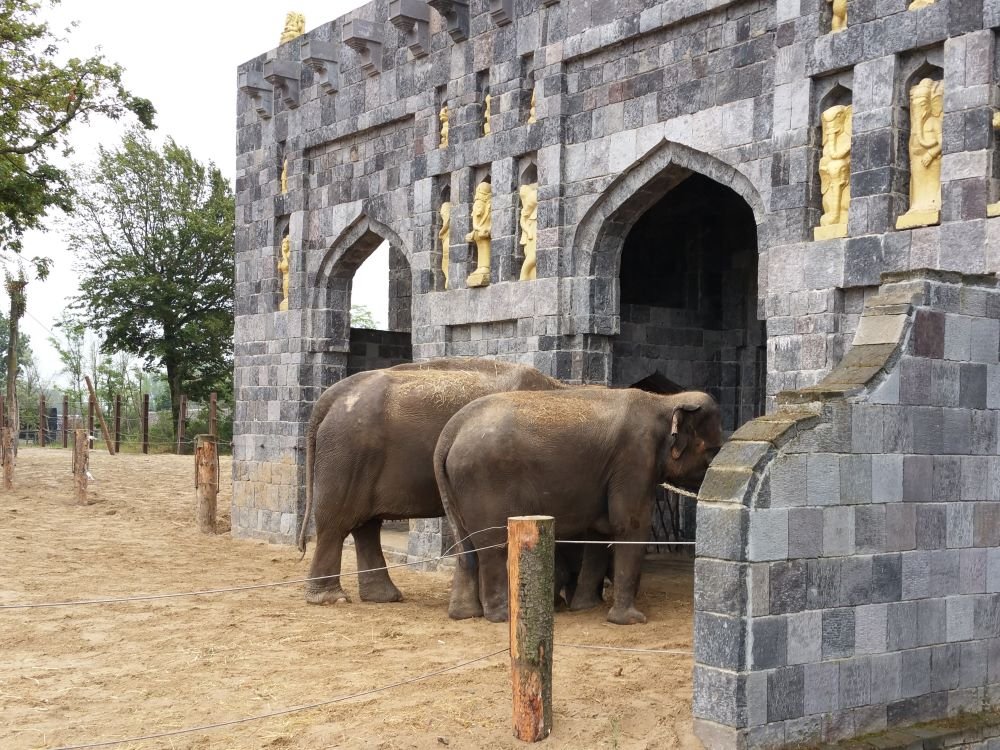 Olifantenverblijf Pairi Daiza