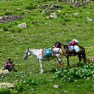 Afbeelding voor Traveldash - Trekkings in Georgië