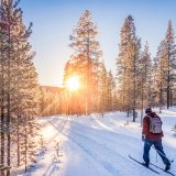 Afbeelding voor Langlaufen