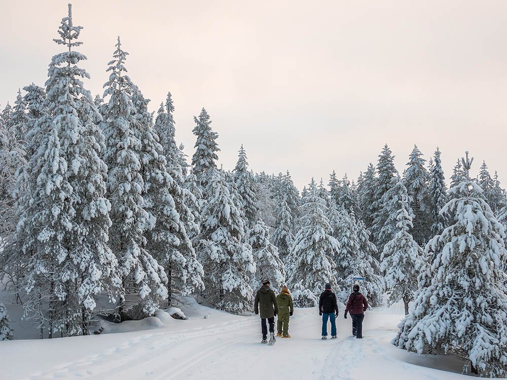 Sneeuwschoenwandeling Posio
