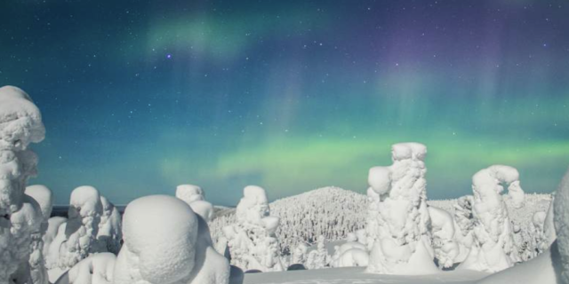 Afbeelding voor Nordic - Wintervakantie in Ruka