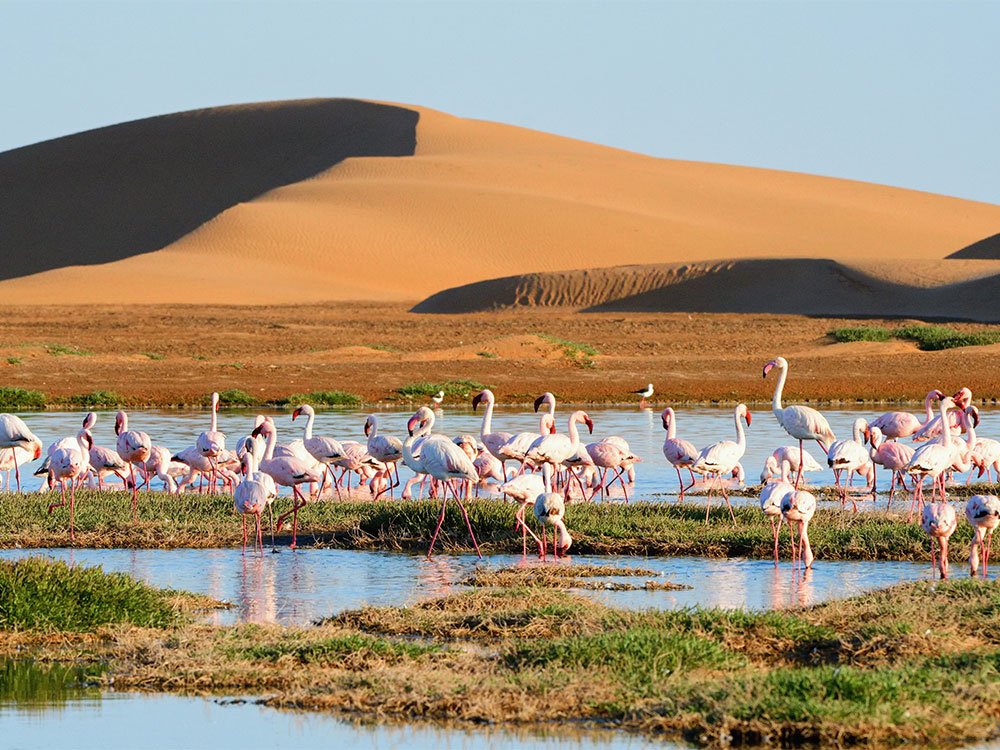 Ecotoerisme in Namibië