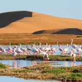 Afbeelding voor wAARDEvol reizen in Namibië