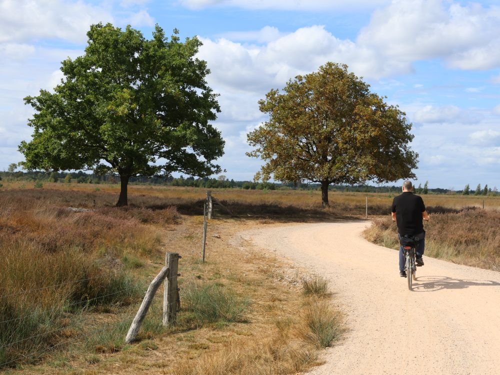Fietsen op de hei