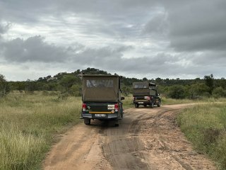 Afbeelding voor Hazyview in Zuid-Afrika