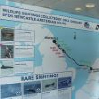 Afbeelding voor DFDS - 30% korting ORCA minicruise