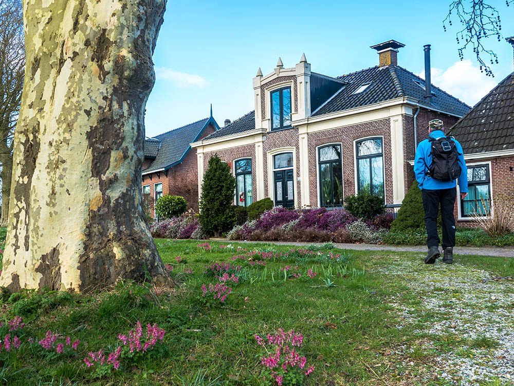 Wandeling Fries landgoed