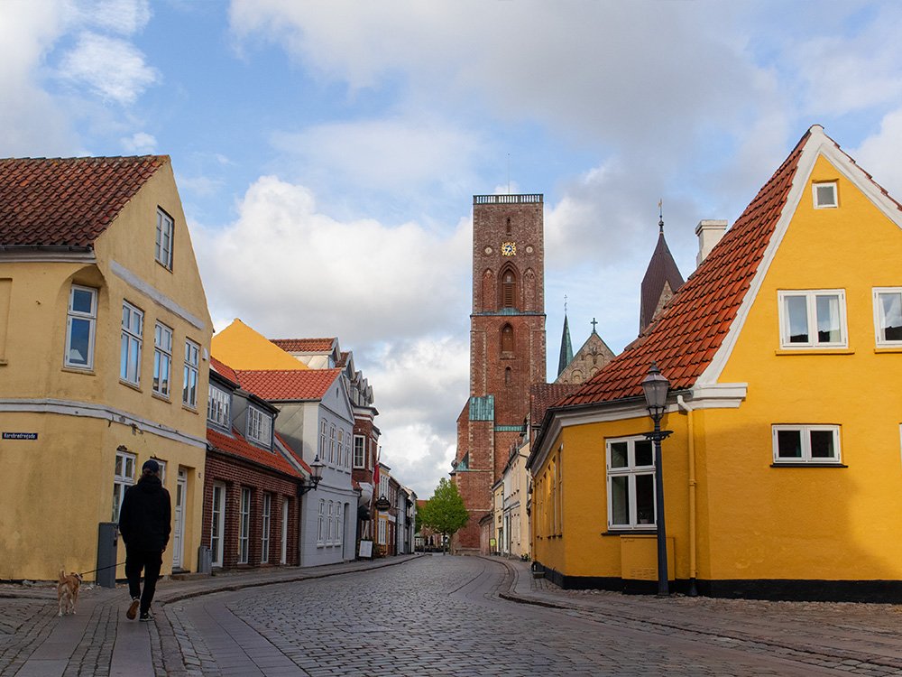 Ribe