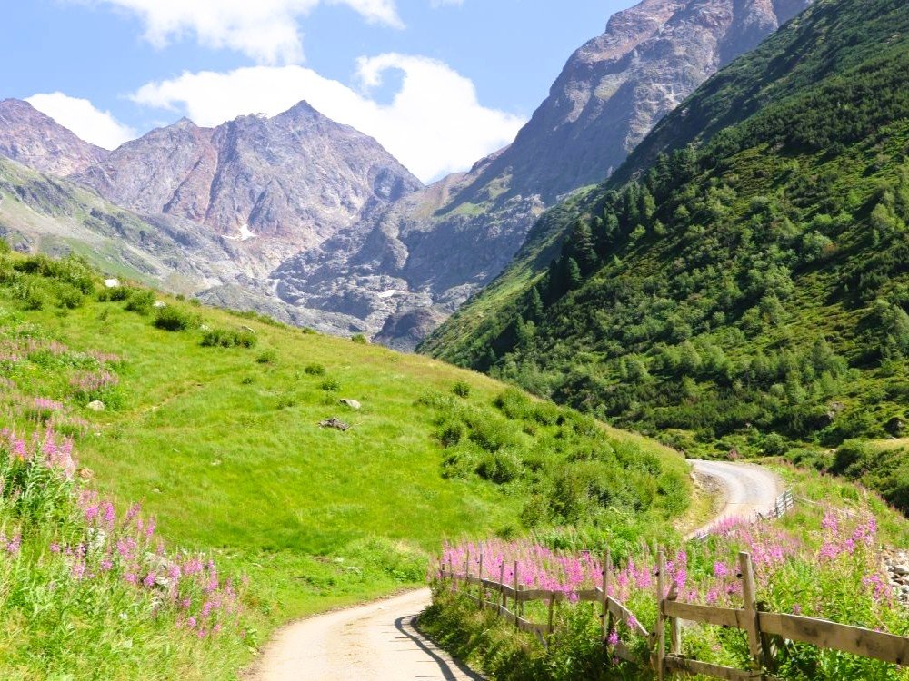 Natuur in het Pitztal