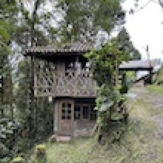 Afbeelding voor Community Based Tourism - Verblijf in Yunguilla