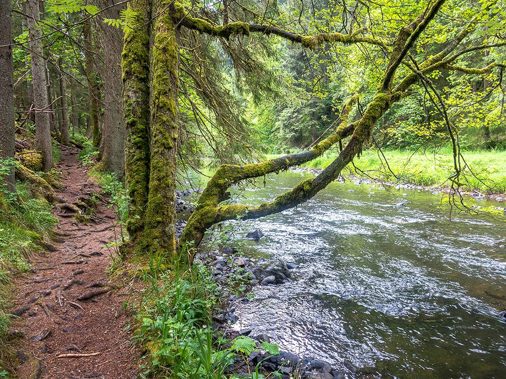 Wandelen langs de Wutach