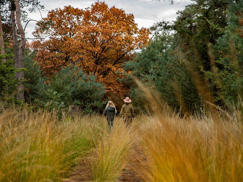 Vier de herfst bij Landal