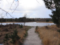 Wandelen Zoom-Kalmthoutse Heide