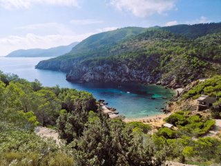 Afbeelding voor Ibiza