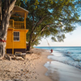 Afbeelding voor Voja Travel - Rondreis Barbados