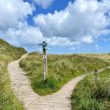 Afbeelding voor Benone Beach