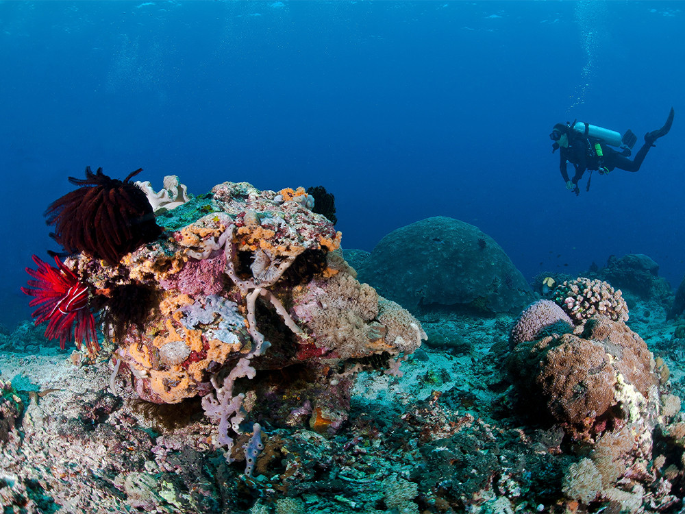 Duiken bij Bali