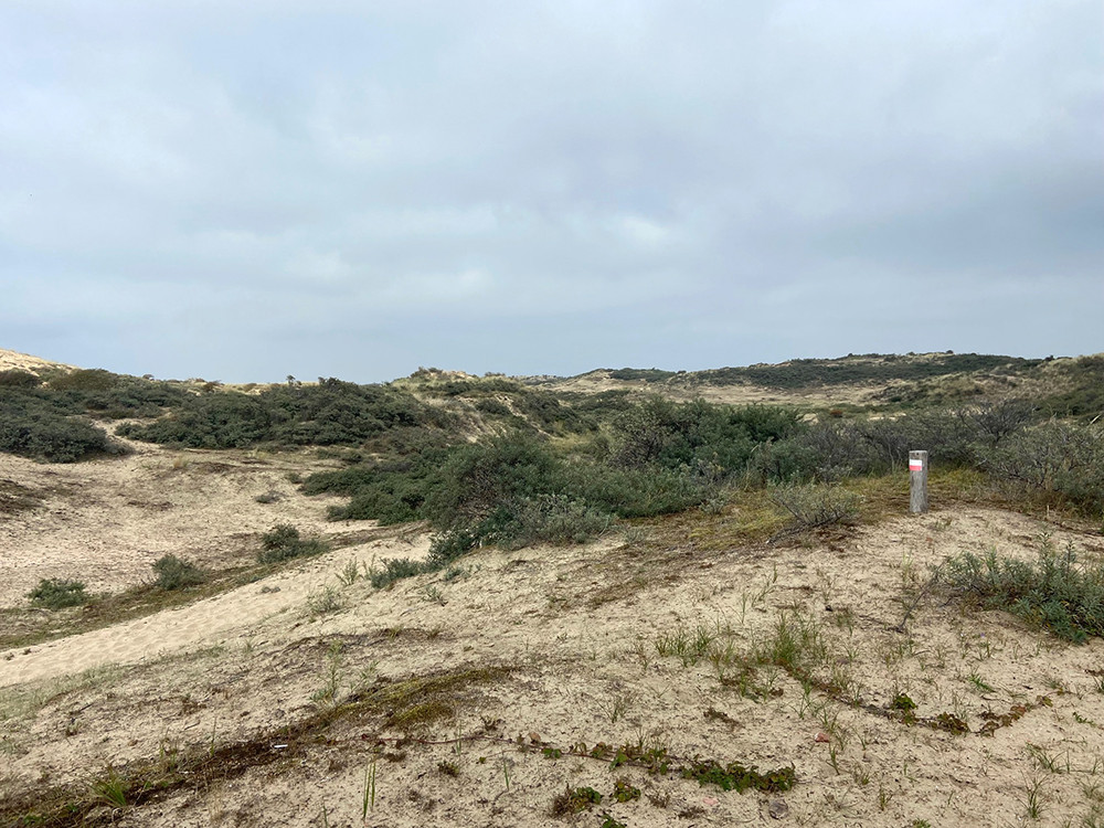 Kustpad door de duinen