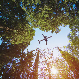 Afbeelding voor Regreener - Flight Compensator