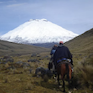 Afbeelding voor Metropolitan Touring - Ecuador