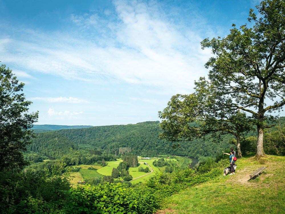 Wandelen langs de Semois