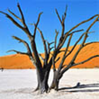 Afbeelding voor Shoestring - Namibië e.a.