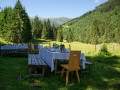 Wald:Brunch