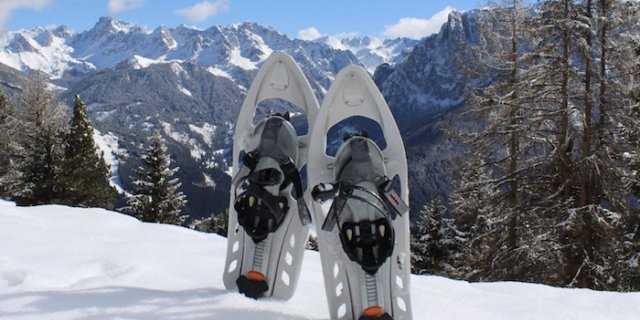 Afbeelding voor STAP Reizen - Sneeuwschoenwandelen Noord-Italië