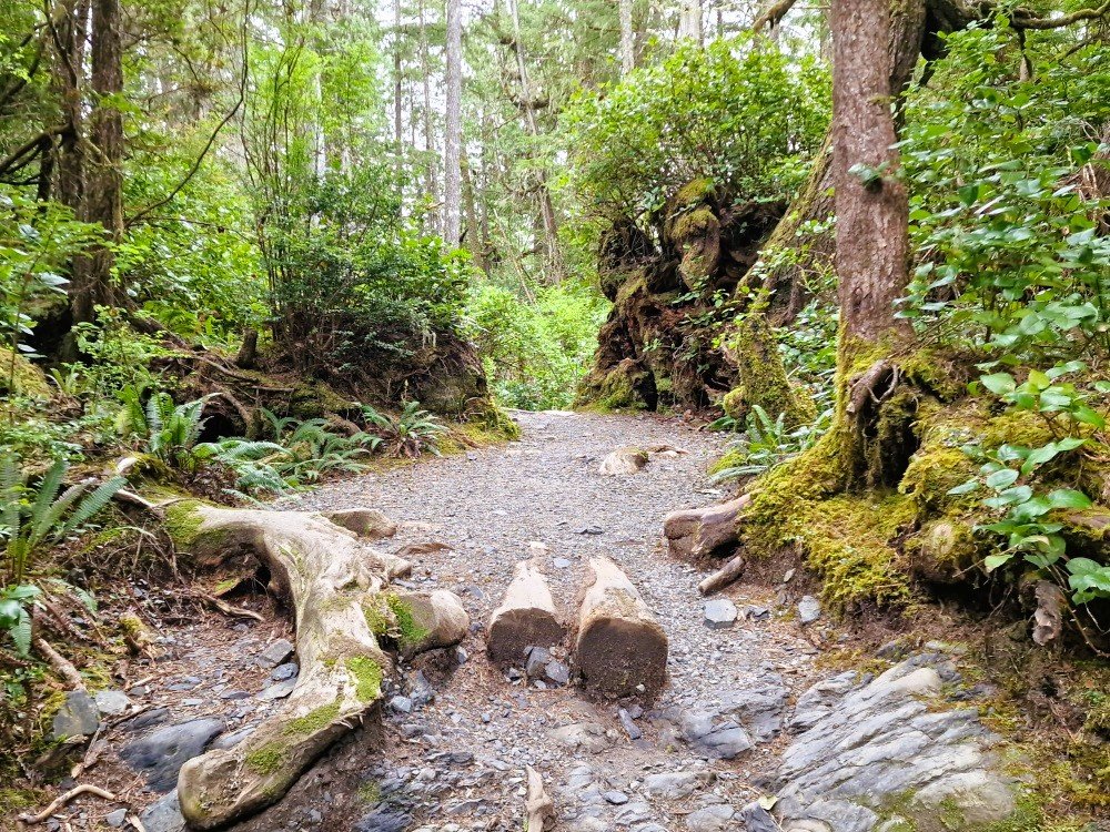 Tofino hiking