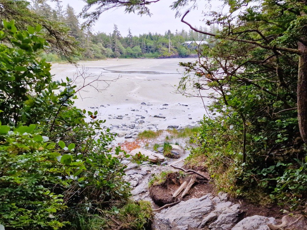 Tofino strand