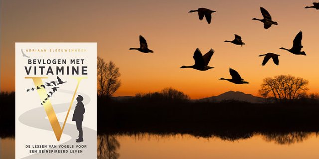 Afbeelding voor WIN! Bevlogen met Vitamine V - Adriaan Sleeuwenhoek