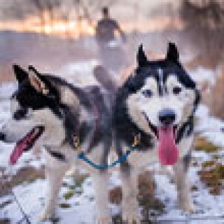 Afbeelding voor GetYourGuide - Wintersport excursies