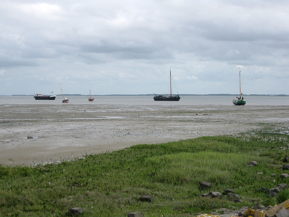 Schiermonnikoog in de Waddenzee