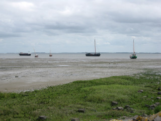 Afbeelding voor Schiermonnikoog