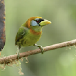 Afbeelding voor Travel Happiness Company - Ecuador