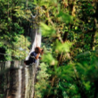 Afbeelding voor Voja Travel - Hoogtepunten Costa Rica