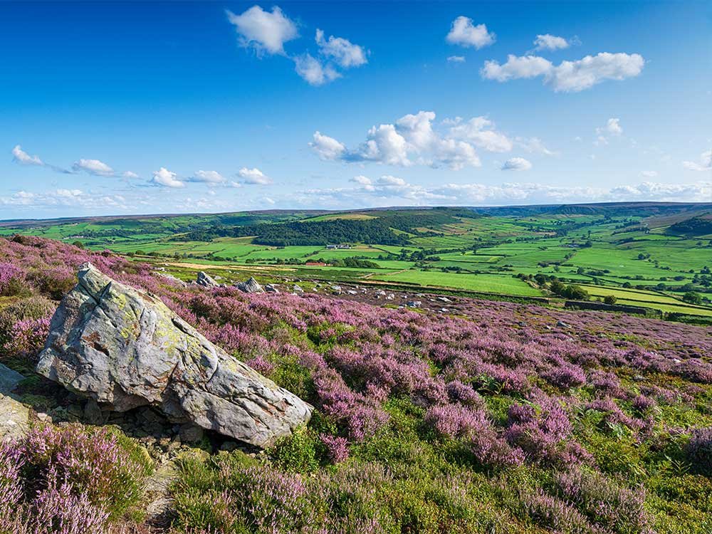 Ecotoerisme North York Moors