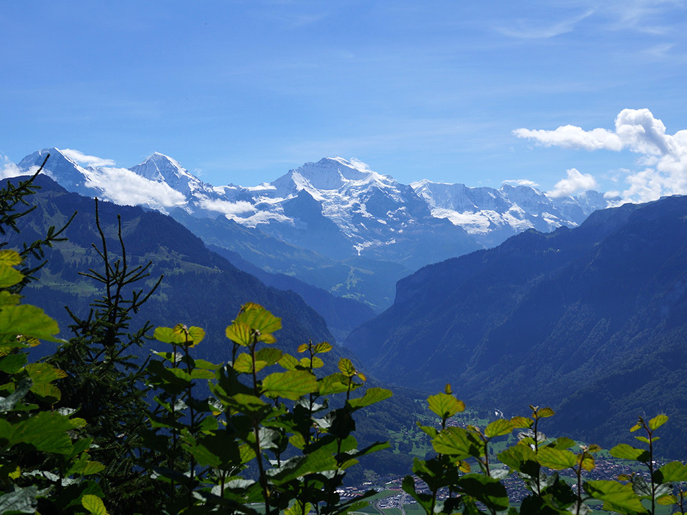 Uitzicht vanaf de Harder Kulm