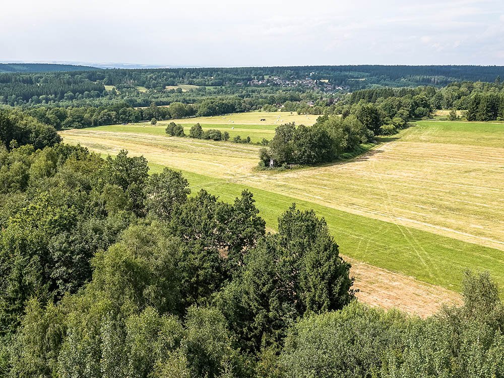 Wandelen in Solling-Vogler