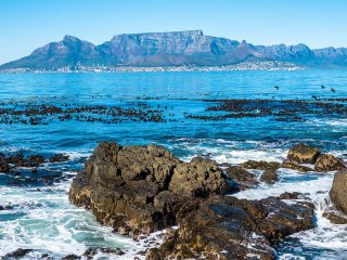 Afbeelding voor Kaapstad