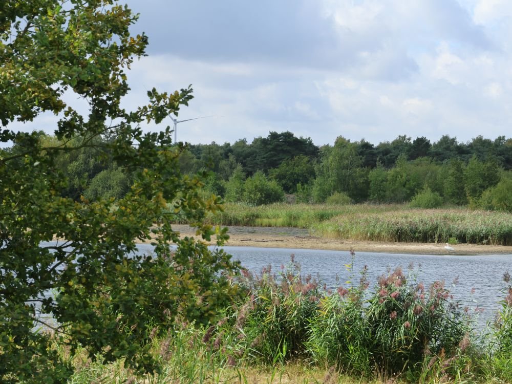 Hageven - de Plateaux