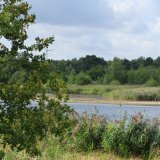 Afbeelding voor Hageven - de Plateaux